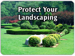 Save your landscaping